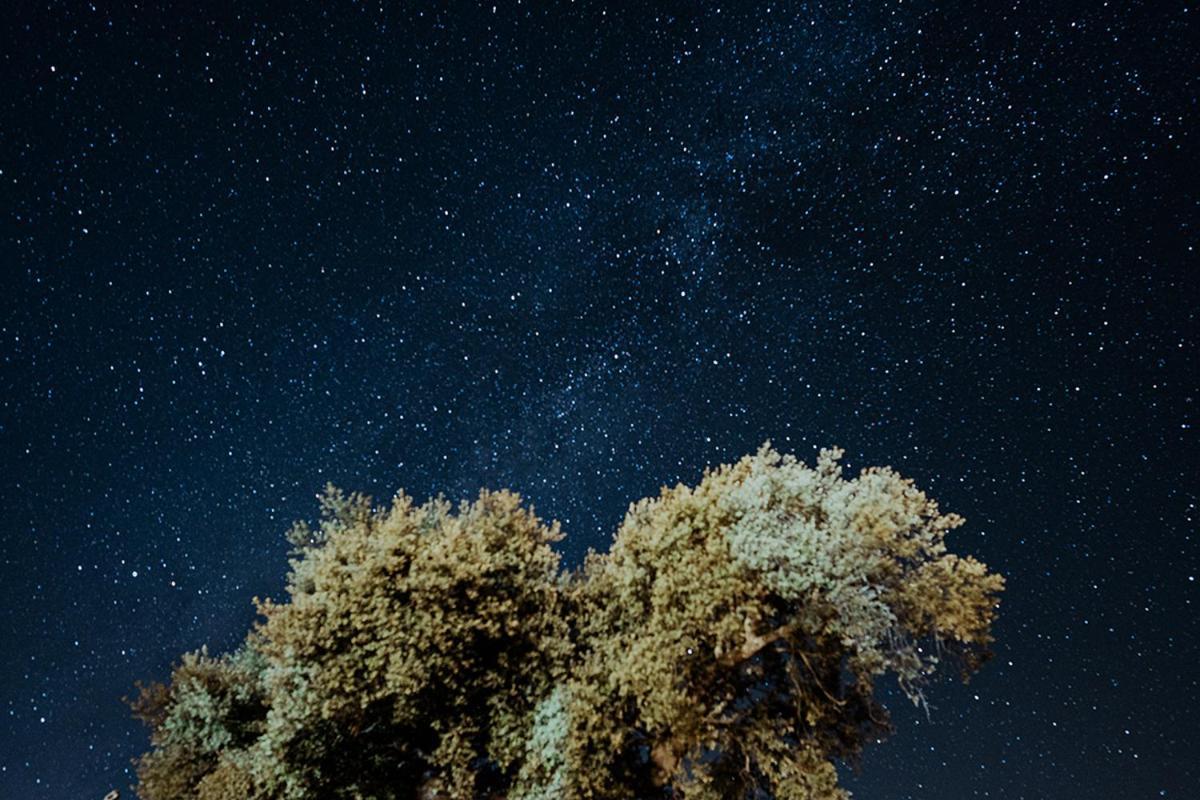 Monte Do Ramalho Villa Avis Dış mekan fotoğraf
