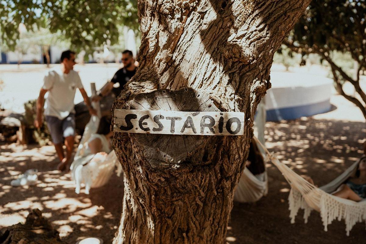 Monte Do Ramalho Villa Avis Dış mekan fotoğraf