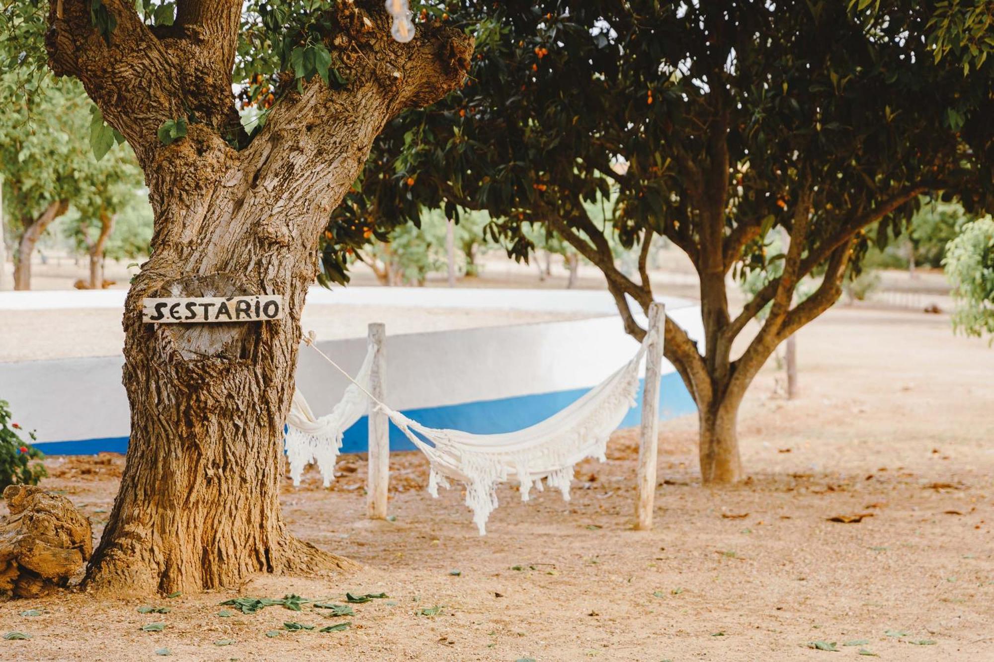 Monte Do Ramalho Villa Avis Dış mekan fotoğraf